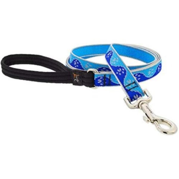 Lupine Pet Lupine  0.75 in. x 6 ft. Paws Dog Leash, Blue - 107763