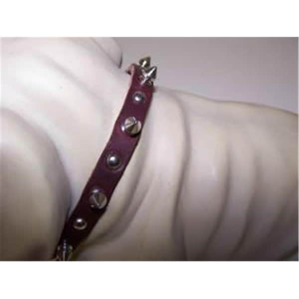Omni Pet No.38LKS .37 in Spiked Latigo Leather Collar 12in Burgundy - 445-00504