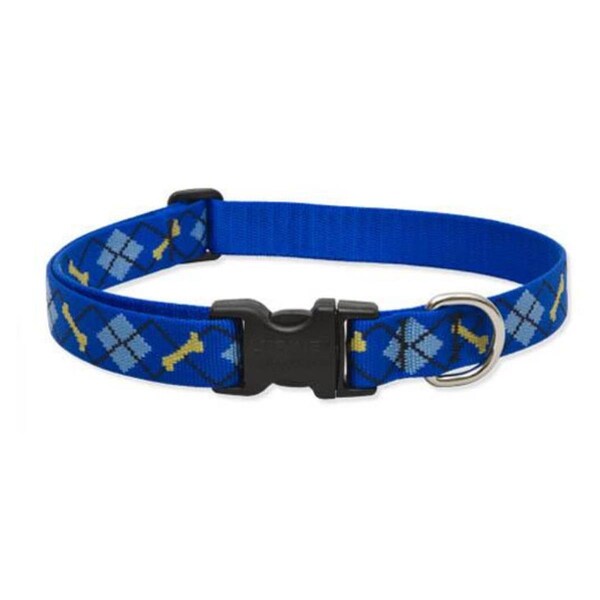 Petpalace 1 in. Dapper Dog 16 in. - 28 in. Adjustable Dog Collar - PE1590364