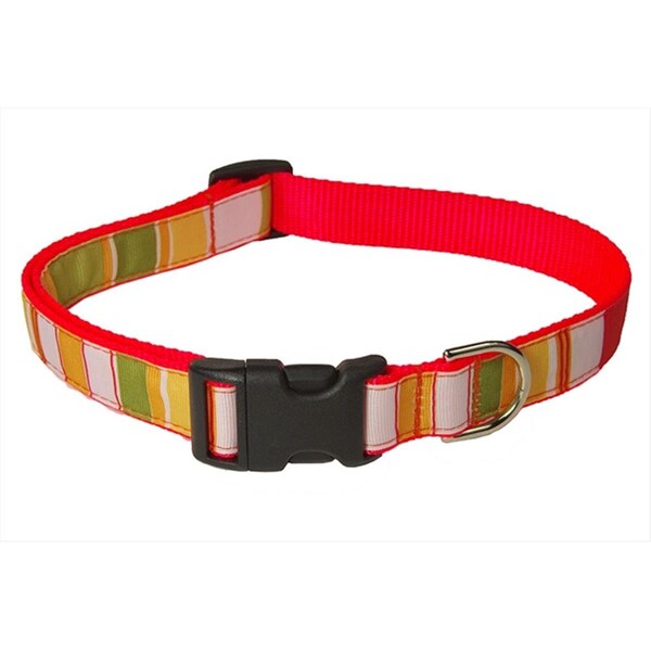 Sassy Dog Wear STRIPE-ORANGE-MULTI4-C Multi Stripe Dog Collar- Orange - Large - STRIPE-ORANGE/MULTI4-C
