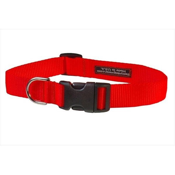 Sassy Dog Wear Sassy Dog Wear SOLID NEON ORANGE MED-C Nylon Webbing Dog Collar; Neon Orange - Medium - SOLID NEON ORANGE MED-C