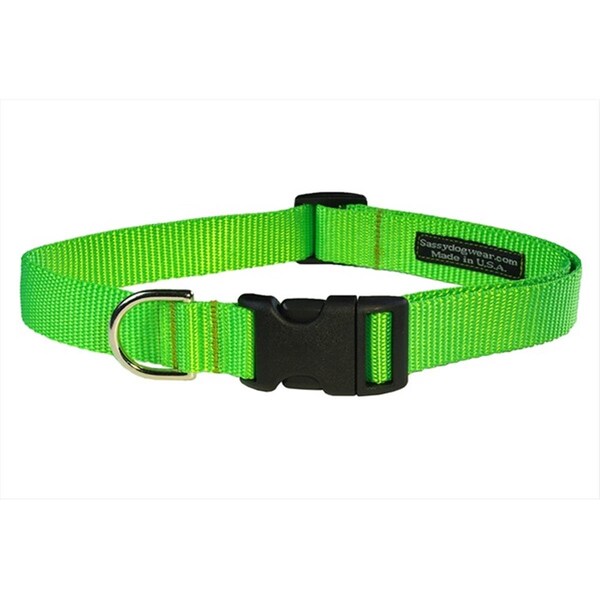 Sassy Dog Wear Nylon Webbing Dog Collar- Neon Green - Large - SOLID NEON GREEN LG-C