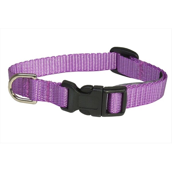 Sassy Dog Wear Nylon Webbing Dog Collar- Purple - Extra Small - SOLID PURPLE XS-C