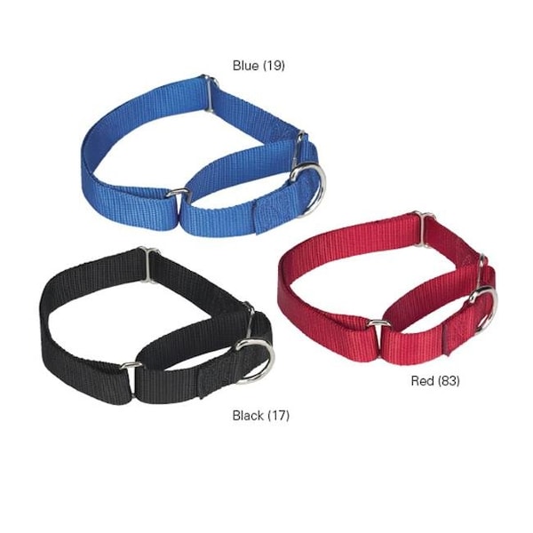 Petedge GG Nylon Martingale Collar 10-16 In Red - ZA1513 10 83