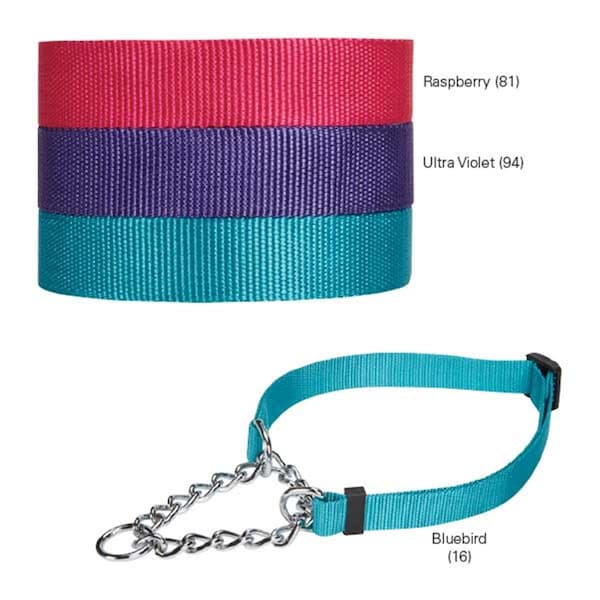 Guardian Survival Gear Guardian Gear GG Martingale Collar 16-24 In Raspberry - GU392081