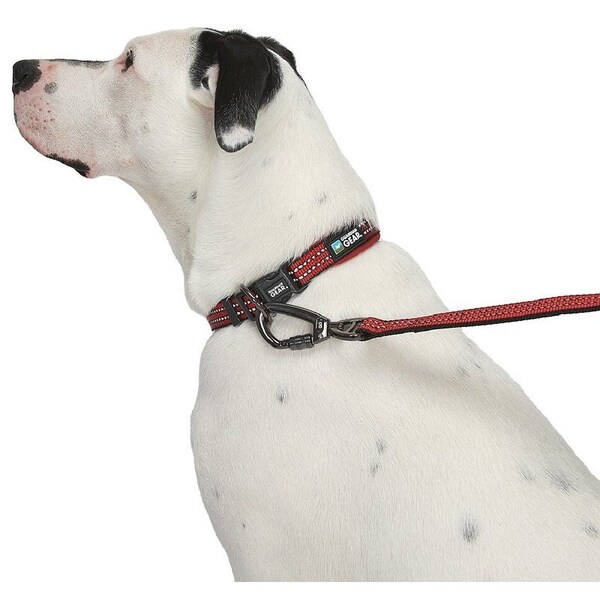Guardian Gear Dog Collar, O-Ring Link, 16 to 83 in L Collar, Nylon, True Red - ZA0006 16 83