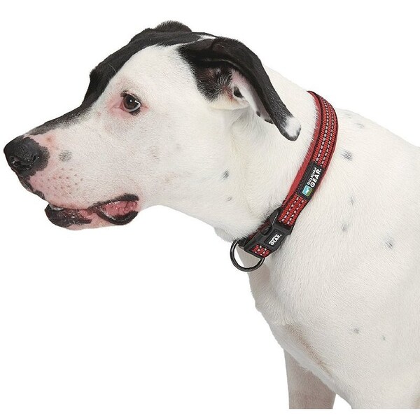 Guardian Gear Dog Collar, O-Ring Link, 16 to 83 in L Collar, Nylon, True Red - ZA0006 16 83
