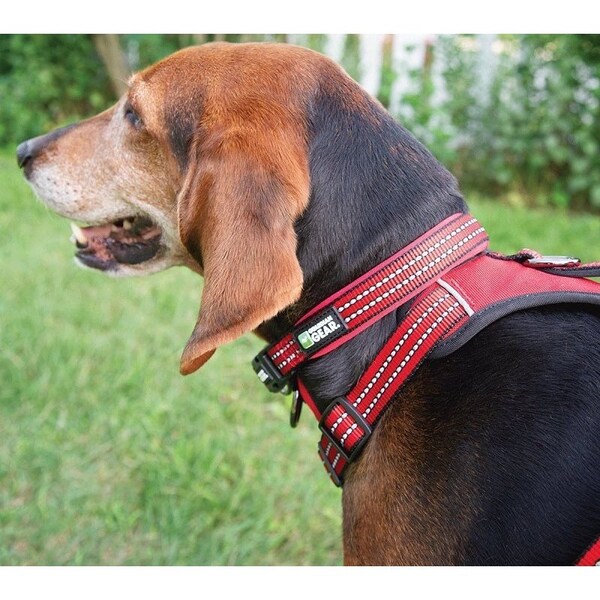 Guardian Gear Dog Collar, O-Ring Link, 16 to 83 in L Collar, Nylon, True Red - ZA0006 16 83