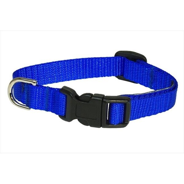 Sassy Dog Wear Sassy Dog Wear SOLID BLUE XS-C Nylon Webbing Dog Collar; Blue - Extra Small - SOLID BLUE XS-C