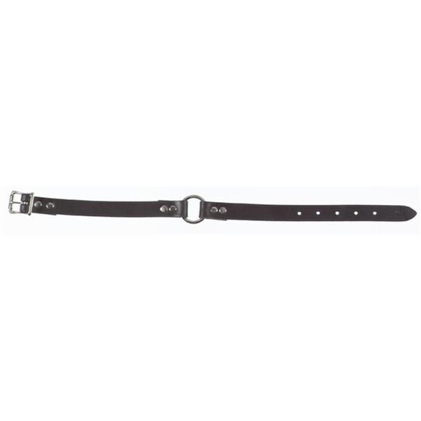 Boss Pet 2958001 1 in. Adjustable Nylon CollarRed - 171390818