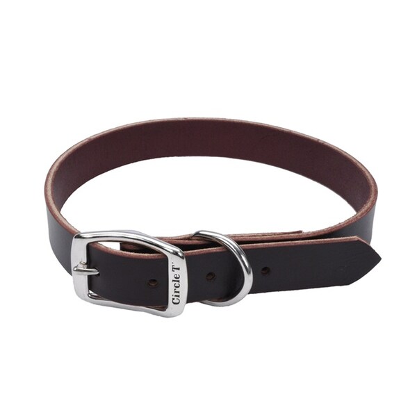 Coastal Pet Circle T Latigo Leather Town Dog Collar Flat 1" 24" - 3799-24