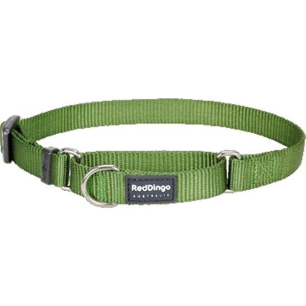 Red Dingo Red Dingo MC-ZZ-GR-ME Martingale Dog Collar Classic Green; Medium - MC-ZZ-GR-ME