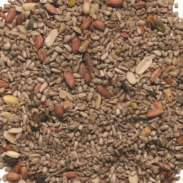 Wild Delight Wild Delight Deck Porch N Patio Assorted Species Sunflower Seeds Wild Bird Food 5 lb - 374050