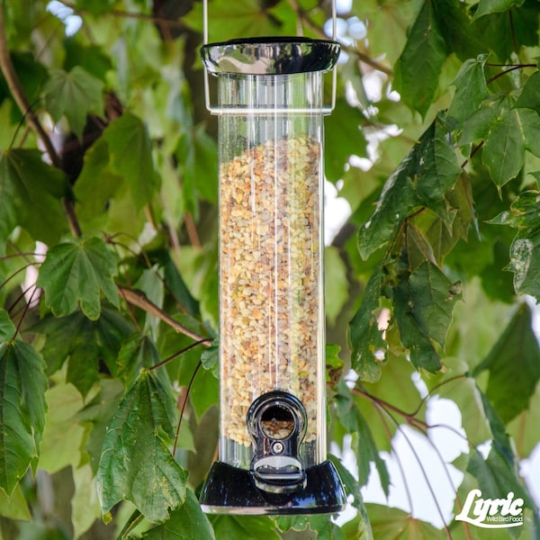 Lyric Lyric Fine Tunes Assorted Species Peanut Pieces Wild Bird Food 15 lb - 26-47410
