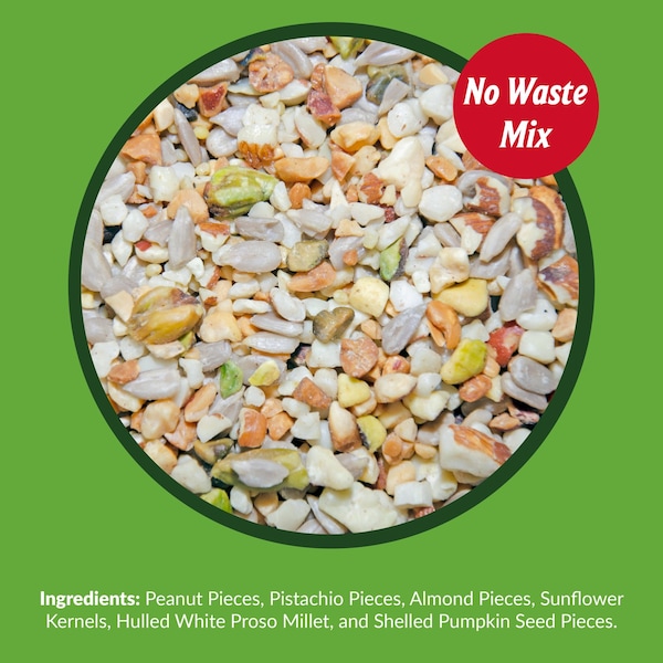 Lyric Lyric Fine Tunes Assorted Species Peanut Pieces Wild Bird Food 15 lb - 26-47410