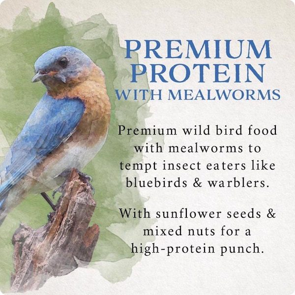 Global Harvest Foods Songbird Selections Premium Protein with Mealworm Wild Bird Seed Wild Bird Food 10 lb - 13633