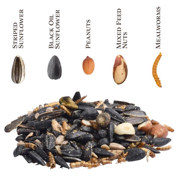 Global Harvest Foods Songbird Selections Premium Protein with Mealworm Wild Bird Seed Wild Bird Food 10 lb - 13633