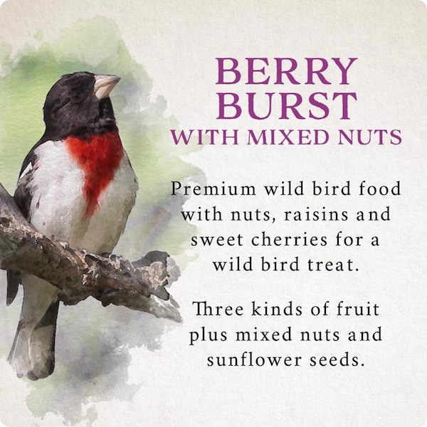Global Harvest Foods Songbird Selections Wild Bird Nuts Bird Seed 10 lb - 13636