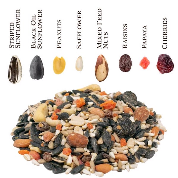 Global Harvest Foods Songbird Selections Wild Bird Nuts Bird Seed 10 lb - 13636