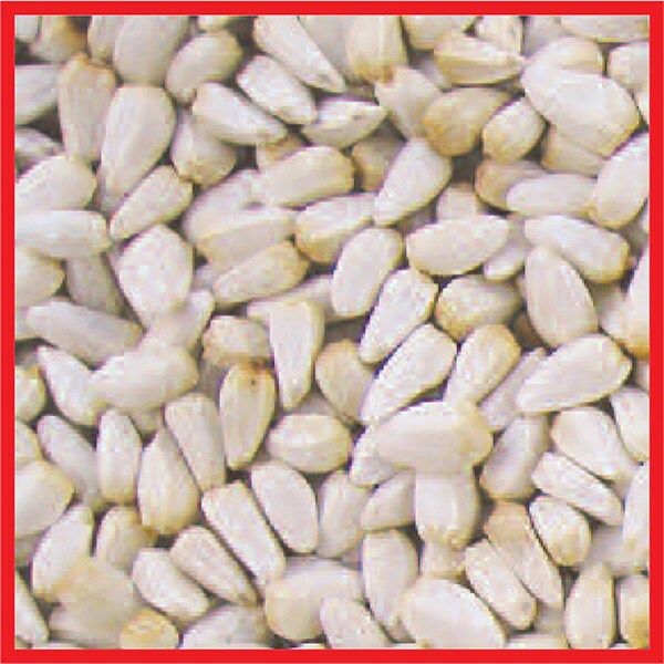 Coles Cole's Assorted Species Safflower Seeds Wild Bird Food 10 lb - SA10