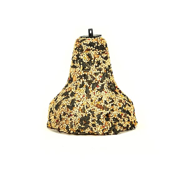 Kaytee Products Kaytee Nut & Fruit Songbird Millet Seed Bell 15 oz - 100064693