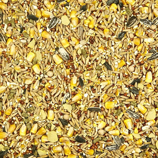 Kaytee Products Kaytee Backyard Wildlife Assorted Species Oats Squirrel and Critter Food 5 lb - 100037047