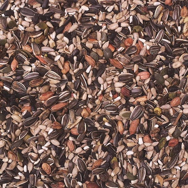 Wild Delight Wild Delight Nut N Berry Assorted Species Sunflower Kernels Wild Bird Food 5 lb - 366050