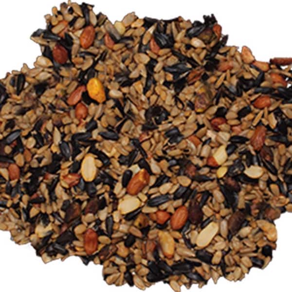 Sizzle N Heat Wild Delight Sizzle N Heat Songbird Sunflower Kernels Wild Bird Food 5 lb - 372050
