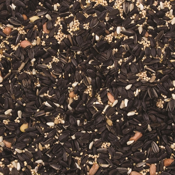 Wild Delight Wild Delight Gourmet Assorted Species Sunflower Seeds Wild Bird Food 20 lb - 368200