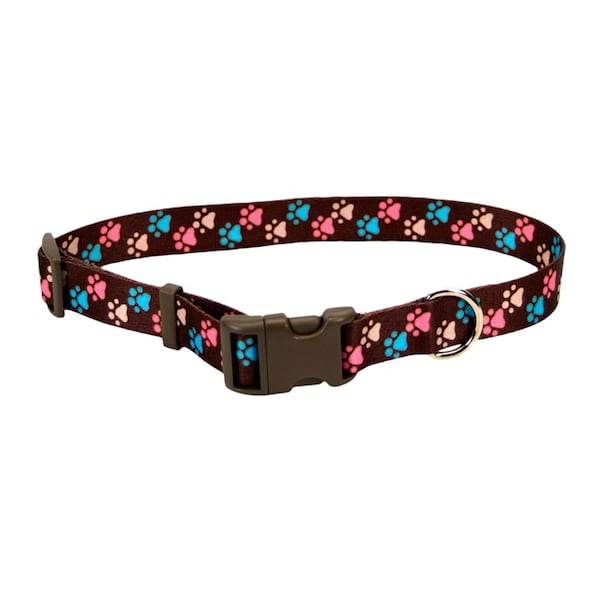 Coastal Pet Pet Attire Styles Adjustable Collar 1" BLK BONES - 2629-BBO