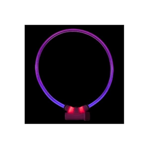 Petpath Lumitube Illuminated Dog Safety Collar, Bright Purple - Small To Medium - PE2643749