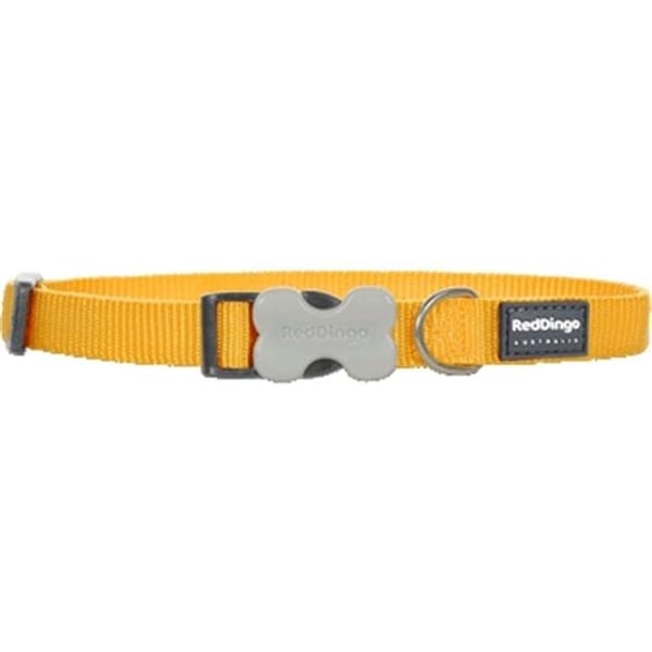 Red Dingo Red Dingo DC-ZZ-YE-ME Dog Collar Classic Yellow; Medium - DC-ZZ-YE-ME