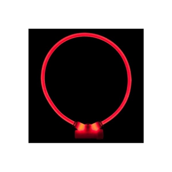 Petpath Lumitube Illuminated Dog Safety Collar, Bright Red - Small To Medium - PE2643751