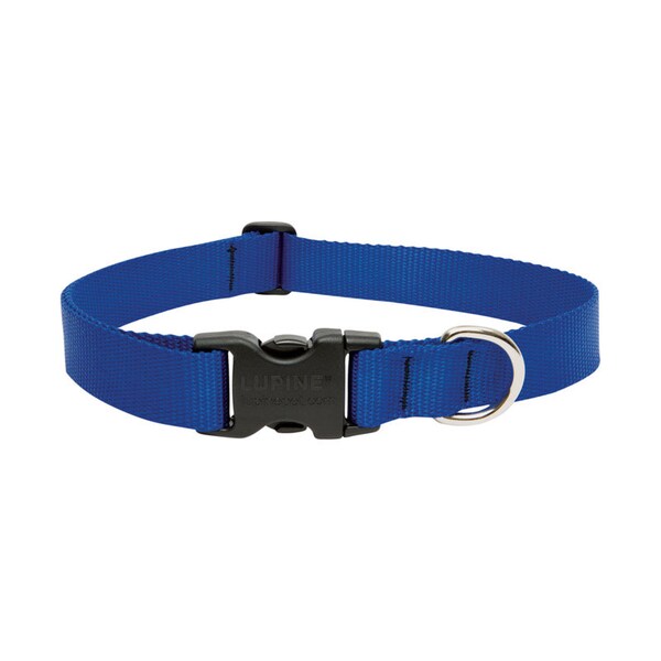 Lupine LupinePet Basic Solids Blue Blue Nylon Dog Adjustable Collar - 17552
