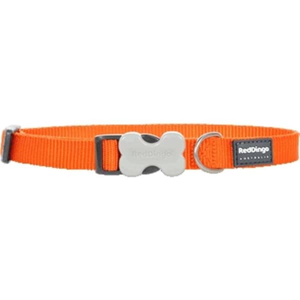 Red Dingo Red Dingo DC-ZZ-OR-LG Dog Collar Classic Orange; Large - DC-ZZ-OR-LG
