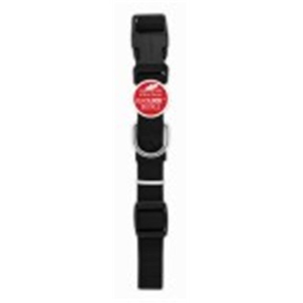 Peticare 0.75 x 20 in. Pet Expert Adjustable Nylon Dog Collar with Quadlock Buckle Black, 3PK - PE3242953