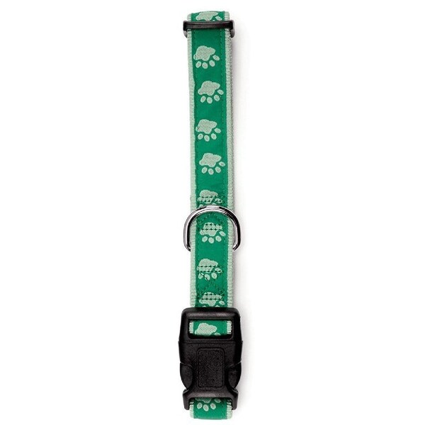 Casual Canine Dog Collar, 6 to 10 in L Collar, 3/8 in W Collar, Nylon, Green - ZA8871 06 43