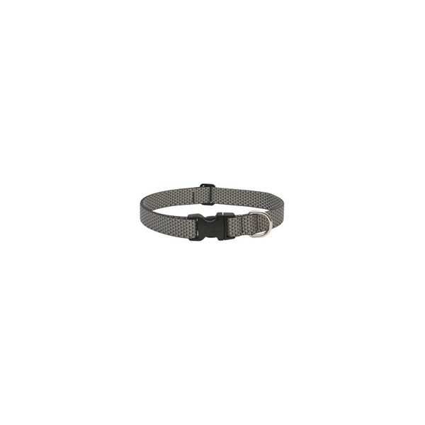 Lupine Eco Dog Collar, Adjustable, Granite, 1 x 16 to 28-In. - 36553