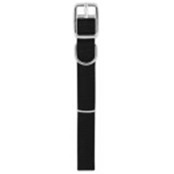 Peticare Products 0.75 x 20 in. Pet Expert Nylon Dog Collar With Traditional Metal Buckle, Black - PE593707