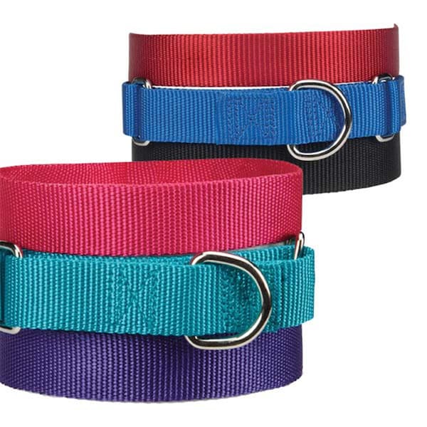 Guardian Survival Gear Guardian Gear Nylon Martingale Collar 10-16 In Black - ZA1513 10 17