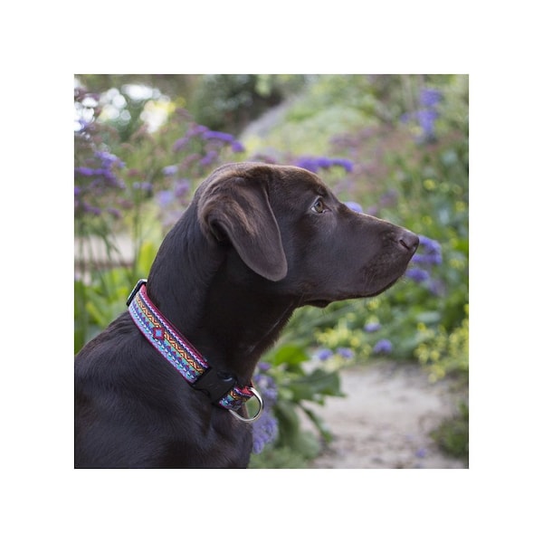 Lupine Pet Adjustable Collar Original Designs Multicolored El Paso Nylon Dog Multicolored - 91552