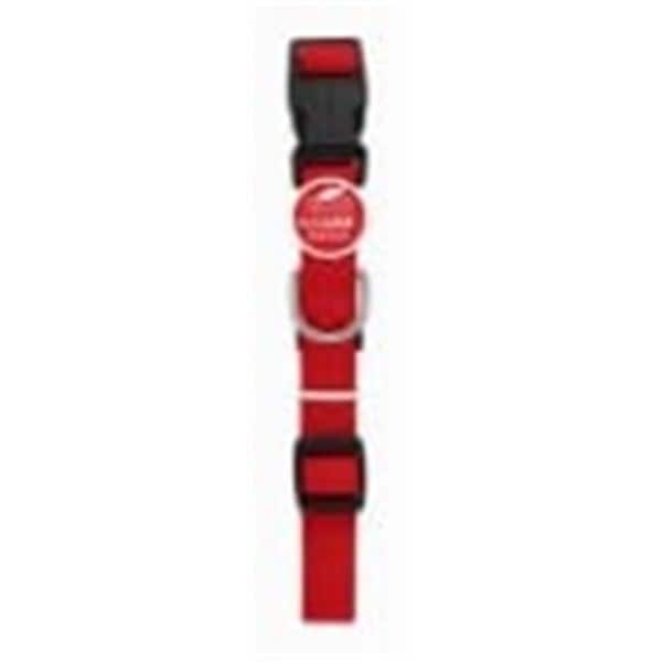 Peticare Products 0.37 x 12 in. Pet Expert Dog Collar, Red - PE562914