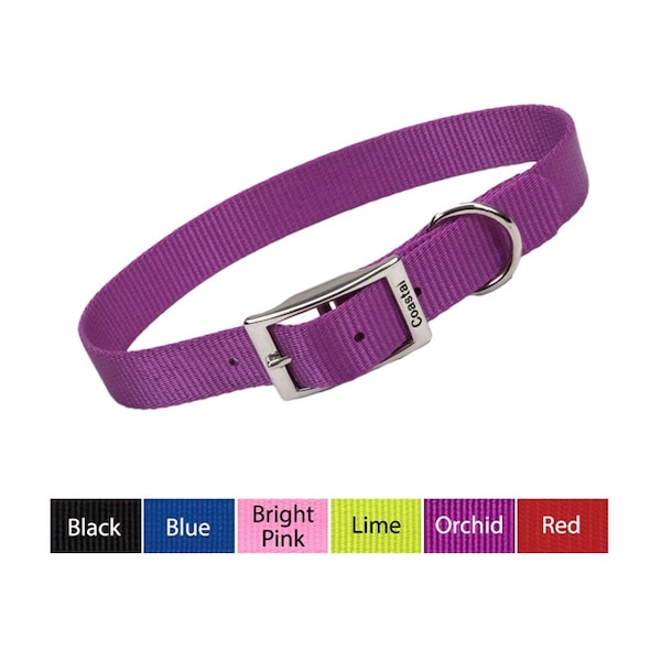 Coastal Pet Coastal Single-Ply Nylon Dog Collar 5/8 in BLUE 12 - 3807-BL-12