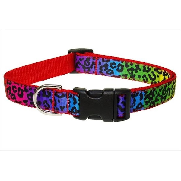 Sassy Dog Wear Sassy Dog Wear LEOPARD-RAINBOW2-C Leopard Dog Collar; Rainbow - Small - LEOPARD-RAINBOW2-C