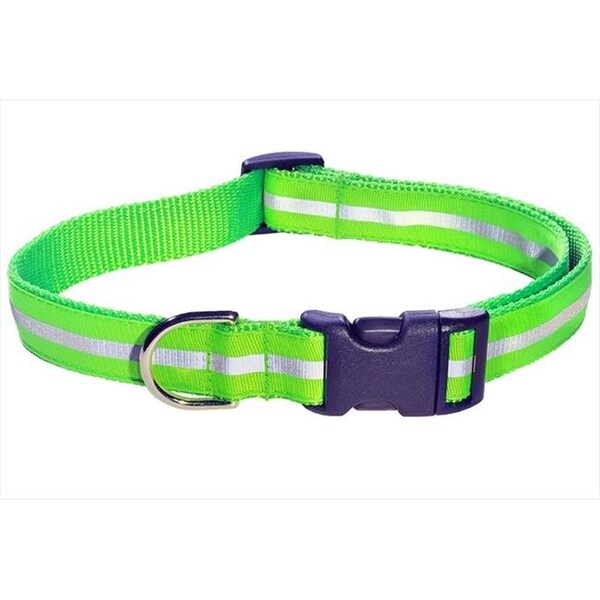 Sassy Dog Wear Sassy Dog Wear REFLECTIVE - GREEN2-C Reflective Dog Collar; Green - Medium - REFLECTIVE - GREEN2-C