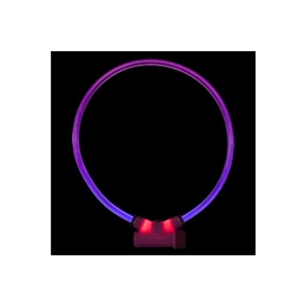 Petpath Lumitube Illuminated Dog Safety Collar, Bright Purple - Large To XL - PE2643748