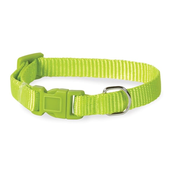 Casual Canine 14-20 in. Nylon Dog CollarLight Green - ZM2391 14 70