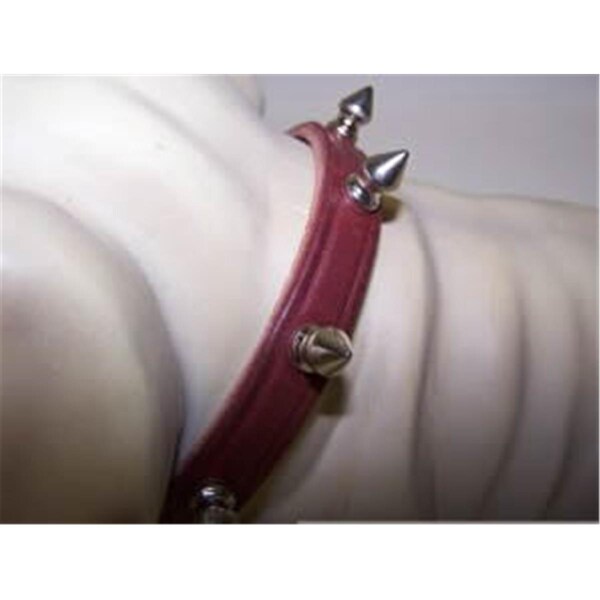 Omni Pet No.102LK-BU16 .75 in X 16 in Spiked Latigo Leather Collar Burgandy - 445-10254