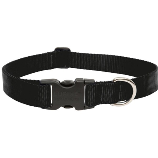 Beloved 1in. X 16in.-28in. Adjustable Black Collar For Medium & Large Dogs - BE1661753