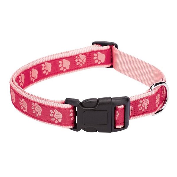 Casual Canine Dog Collar, 10 to 16 in L Collar, 5/8 in W Collar, Nylon, Pink, Two Tone Paw Print - ZA8871 10 75